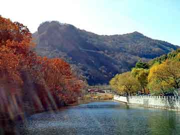 根治“频繁交易”：用“三问过滤器”锁住你容易冲动的手