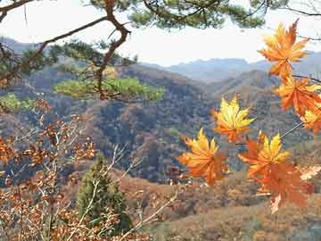期货之家华富之声盈利技巧_2025年10月13日：趋势跟踪策略实战，年化收益提升50%！